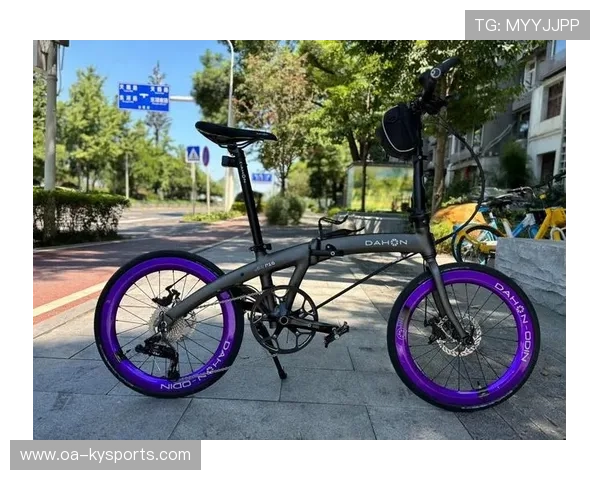 城市自行车改装秀：速度与个性的融合，自行车改装车